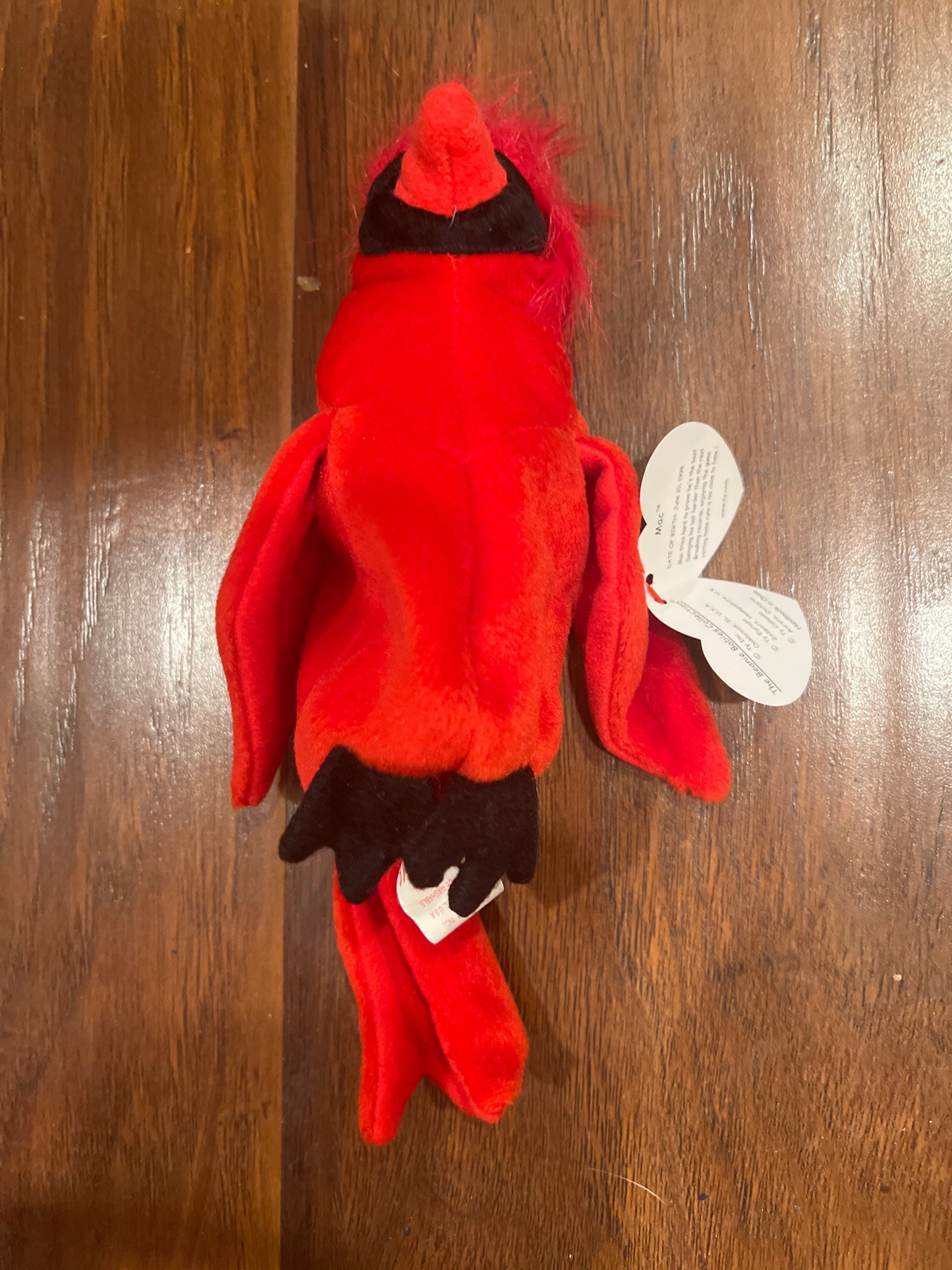 Submitted photo of Ty Beanie Baby 'Mac' the Cardinal (unauthenticated)