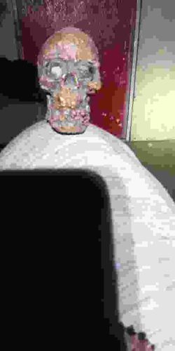 Electroformed Resin Skull with Garnet Eyes