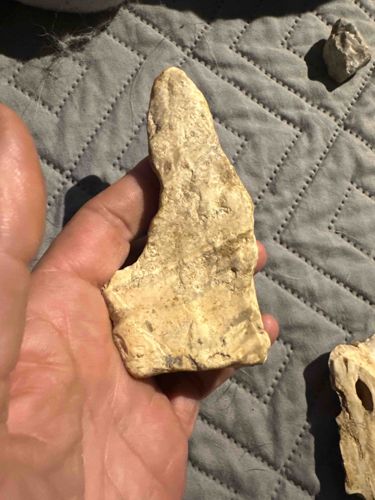 Light-Colored Chert or Flint Nodule