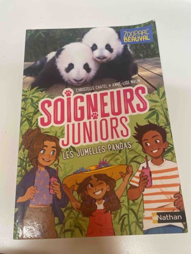 Soigneurs Juniors: Les Jumelles Pandas Book