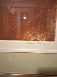 Framed Print by D. Hausen, 1979