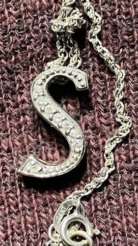 14K White Gold 'S' Initial Pendant with Diamond Accents and Rope Chain