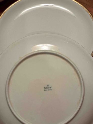 Seltmann Weiden Dinner Plate
