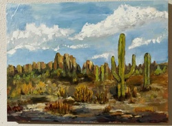 Arizona Desert Landscape Oil Painting by Suzanne Dempsey