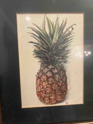 Framed Pineapple Botanical Illustration