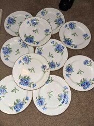 Set of 10 Floral Porcelain Dessert Plates with Gold Rims