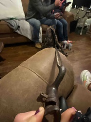 Antique Muzzleloader Lock with Hammer and Frizzen Assembly