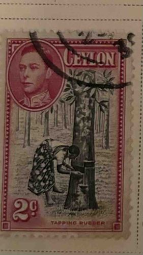 Ceylon 'Tapping Rubber' Postage Stamp (George VI Issue)