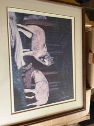 Summer Wolf Family by John Stone Print