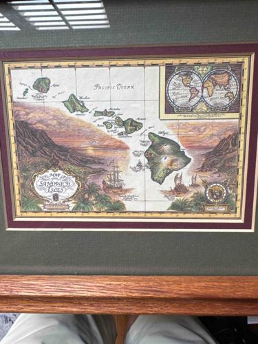 Framed 'Map of The Sandwich Isles' Decorative Print