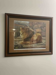 Framed Lion Art Print