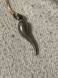Cornicello (Italian Horn) Charm with Gold Chain