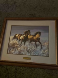 Wild Horses Framed Art Print