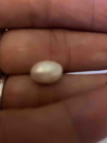 Loose Oval Freshwater Cultured Pearl