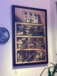 Framed Bookshelf with Butterfly Book and Animal Art