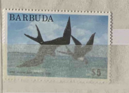 Barbuda $5 Sea Life Postage Stamp