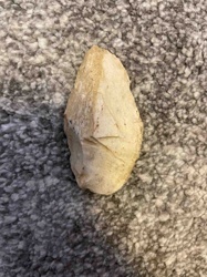 Prehistoric Stone Hand Axe / Biface