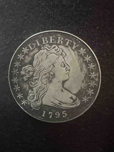 1795 Flowing Hair Dollar Coin (Obverse)