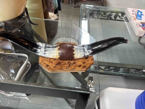 Longhorn Steer Horns on Wood Base