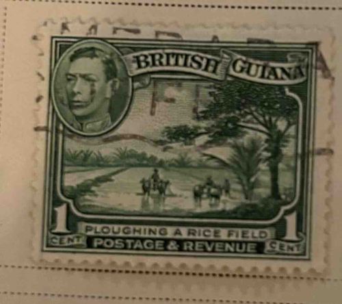British Guiana 1 Cent George VI 'Ploughing a Rice Field' Stamp