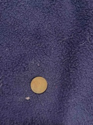 Coin (Unidentified)