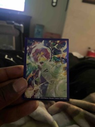 Pokémon TCG Mega Tyranitar and Mega Aggron Card Sleeve