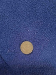 Coin (Unidentified)