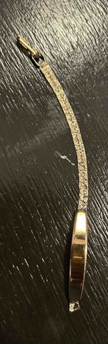 Vintage Speidel Ident Bracelet with Mesh Band