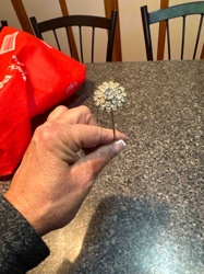 Vintage Rhinestone Cluster Stick Pin