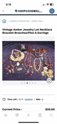 Vintage Amber Jewelry Lot: Necklace, Bracelet, Brooches/Pins & Earrings
