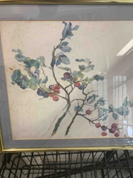 Botanical Watercolor Painting by Shirley Fumagalli