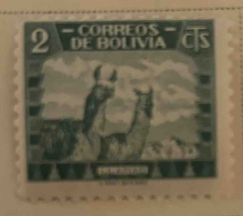Bolivian Llama Stamp, 2 Cts