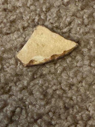 Ceramic Shard (Pottery Fragment)