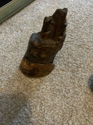 Weathered Wood Root Fragment