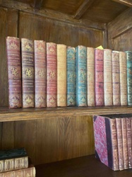Norse, Anglo-Saxon, and Teutonic Mythology Book Set (presumably 'Norrœna: Anglo-Saxon Classics')