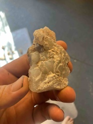 Unpolished Mineral Specimen