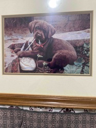 Framed Art Print: Chocolate Labrador Puppy with Shoe