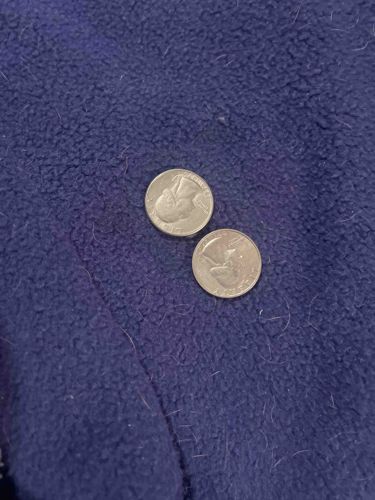 United States Quarter Dollar Coins