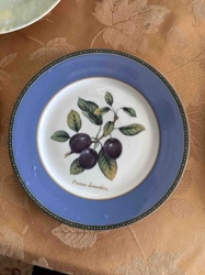 Botanical Decorative Plate with Prunus domestica (Plum)