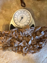 Large Selenite Desert Rose Cluster