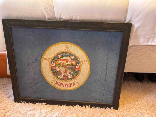 Framed Minnesota State Flag Print