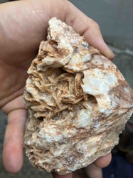 Desert Rose Gypsum Cluster