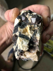 Garnet in Matrix Mineral Specimen