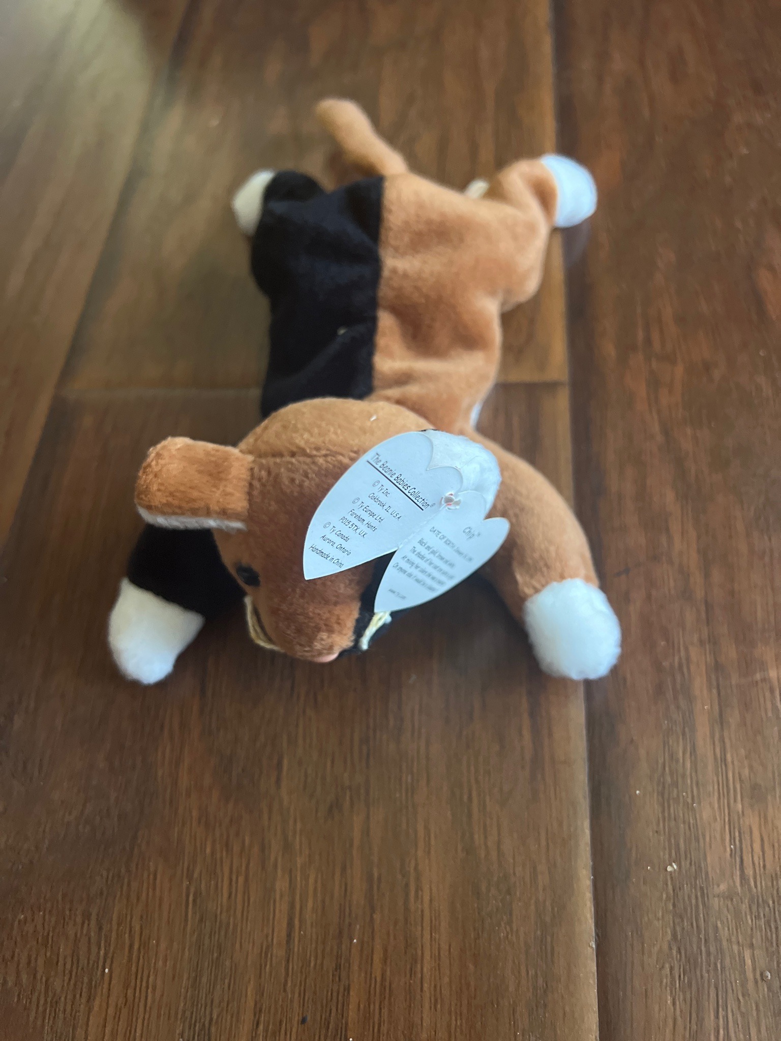 Submitted photo of Ty Beanie Baby 'Chip' the Cat (not authenticated)