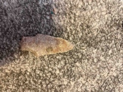 Stone Projectile Point Fragment