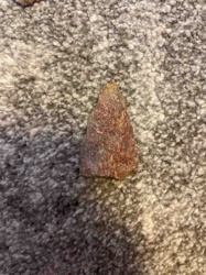 Reddish-Brown Mineral Fragment