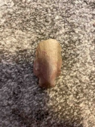 Stone Projectile Point (Arrowhead/Spearhead)