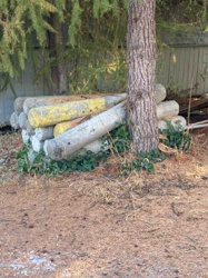Pile of Weathered Concrete Posts
