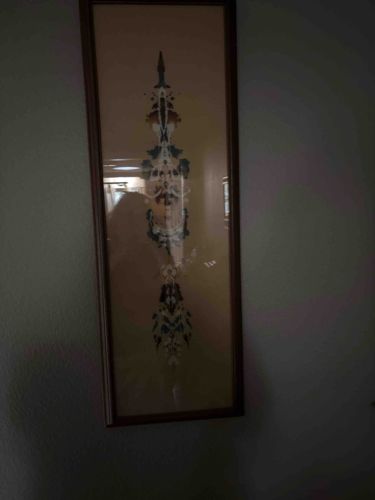 Framed Symmetrical Kaleidoscope Feather Collage Art