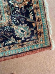 Traditional Wool Area Rug